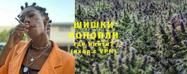 spice Богородск
