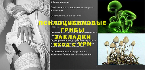 спиды Бронницы