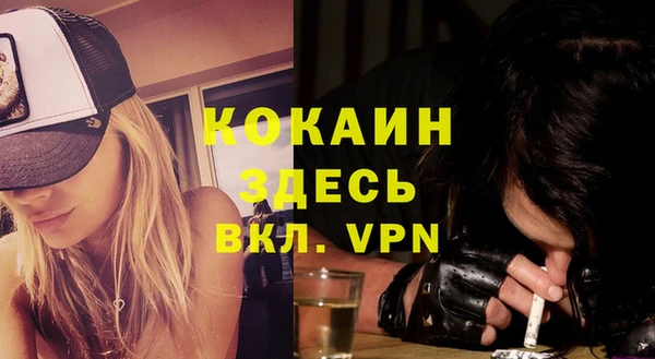 гашиш Богданович