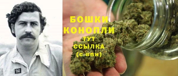 спиды Бронницы