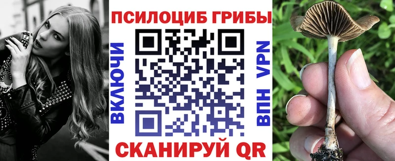 MEGA зеркало  Воркута  Псилоцибиновые грибы прущие грибы 